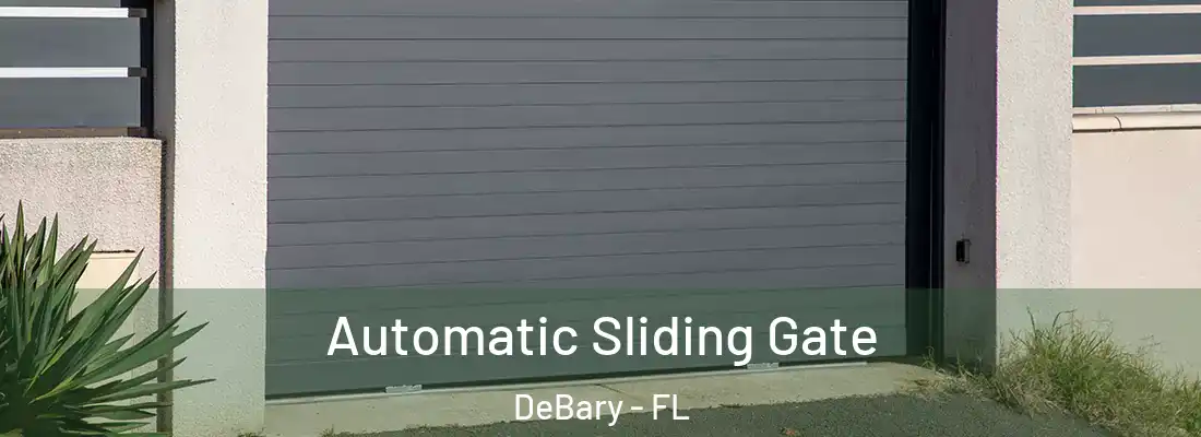 Automatic Sliding Gate DeBary - FL