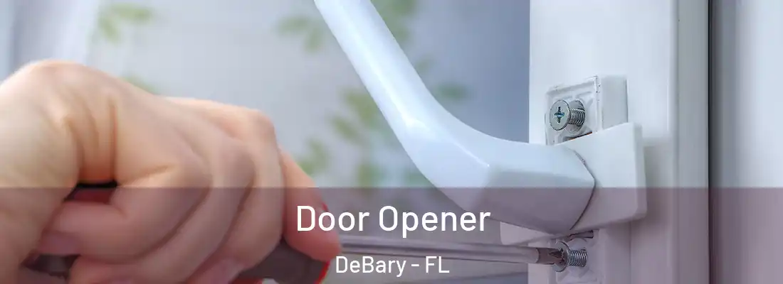 Door Opener DeBary - FL