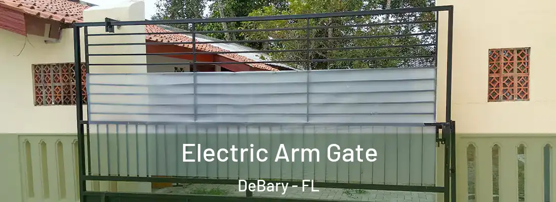 Electric Arm Gate DeBary - FL