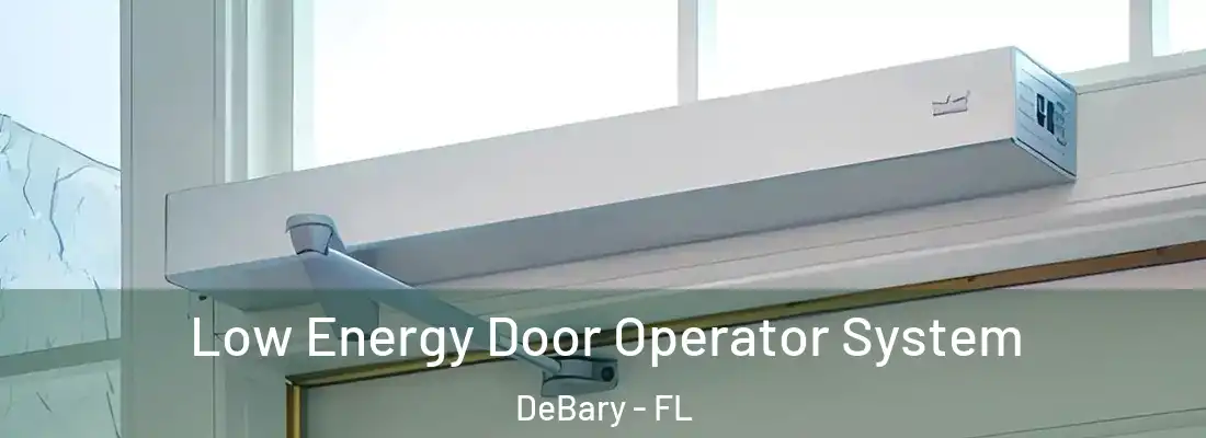 Low Energy Door Operator System DeBary - FL